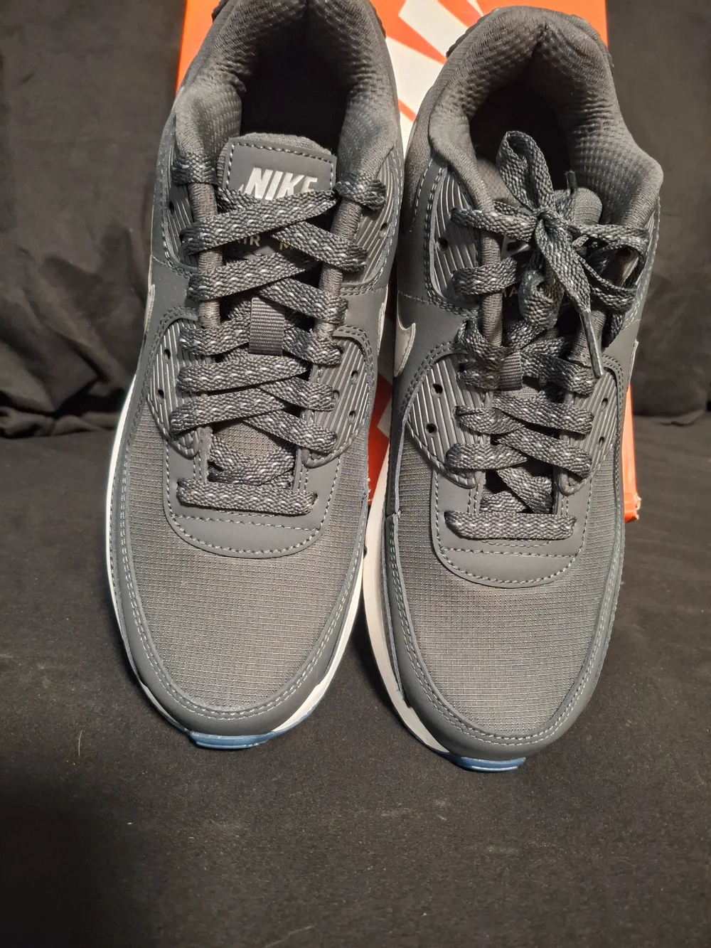 Nike Air Max Low Top Sneakers in Black and White